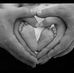 Denisa Braga - Facebook