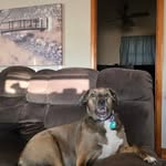 Denise Bragg - @dbrag09 - Instagram