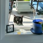 Denise Bragg - @denisebragg36 - Instagram