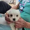 denisebratcher6 - @denisebratcher6 - TikTok