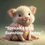 Denise Justin-Brill - @denisejustinbrill - Instagram