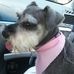 Denise Broyles Moses - Facebook