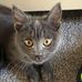 Denise Budden - Facebook
