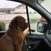 Denise Burrell - Facebook