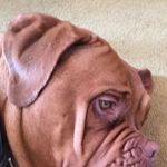 Denise Burrell - @denise.burrell.779 - Instagram