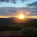 Denise Cagle - @kc_pattidee - Instagram