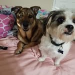 Denise Cannon - @denise_cannon1001 - Instagram