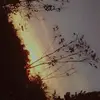 Denise Casas - @denisecasas5 - TikTok