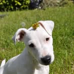 Denise Cavalier - Facebook