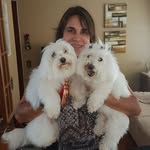 Denise Cavalieri - @cavalieri.denise - Instagram