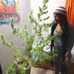Denise Chacon - Facebook