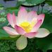 Denise Chang - Facebook