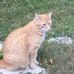 Denise Chartrand - Facebook