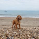Denise Cheek - @dee.cheek - Instagram