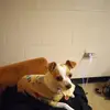 Denise Cheek - @denise.cheek8 - TikTok