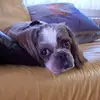 denisechowaniec - @denisechowaniec - TikTok