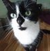 Denise Cleary - Facebook