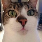 Denise Cleary - @denisecleary73 - Instagram