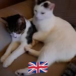 Denise Cockerham - @denise.cockerham.7 - Instagram