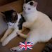 Denise Cockerham - Facebook