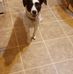 Denise Cody - Facebook
