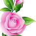 Denise Colon - Facebook