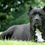 Denise colon - @denisecolon2216 - Instagram