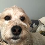 Denise Combs - @combs4662 - Instagram