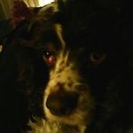 Denise Reynolds Combs - @combs.denise - Instagram