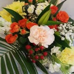 denise conway - @deniseconway564 - Instagram