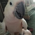 Denise Conway - @drvconway - Instagram