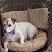 Denise Conway - Facebook