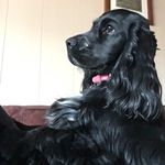 Denise Corbin - @morgiejax - Instagram
