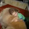 Denise Correa - @desales.gr - TikTok