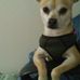 Denise Craft - Facebook