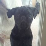 Denise creech - @dcreech55 - Instagram