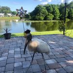 Denise Creech Gusfa - @creechgusfa - Instagram