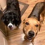 Denise Crowe - @crackie1212 - Instagram