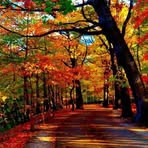 Denise Crowley - Facebook