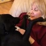Denise Cummins - @thinkingequstrian - Instagram