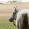 denisecusack759 - @denisecusack759 - TikTok