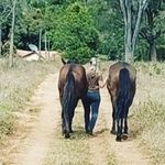 Denise Nogueira Corretora de Seguros - @denise.daniel - Instagram