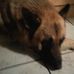 Denise Daniels - Facebook