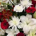 Denise Willhite Day - @deniseday1957 - Instagram