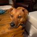 Denise Dean - Facebook