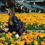 DB 🌻 - @denise_denny_ - Instagram