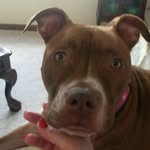 Denise Denny - @denise.denny.585 - Instagram