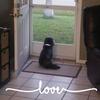 denisedixlaunderv - @denisedixlaunderv - TikTok