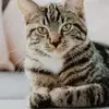 denisedorta94@gmail.com - @denisedorta59 - TikTok