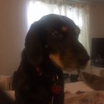 Denise dougherty - @denisedougherty67 - Instagram